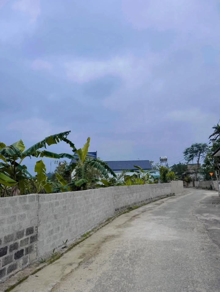 Đất nền Xuân Mỹ Nghi Xuân 124m² - Vị trí đắc địa, đầu tư sinh lời!