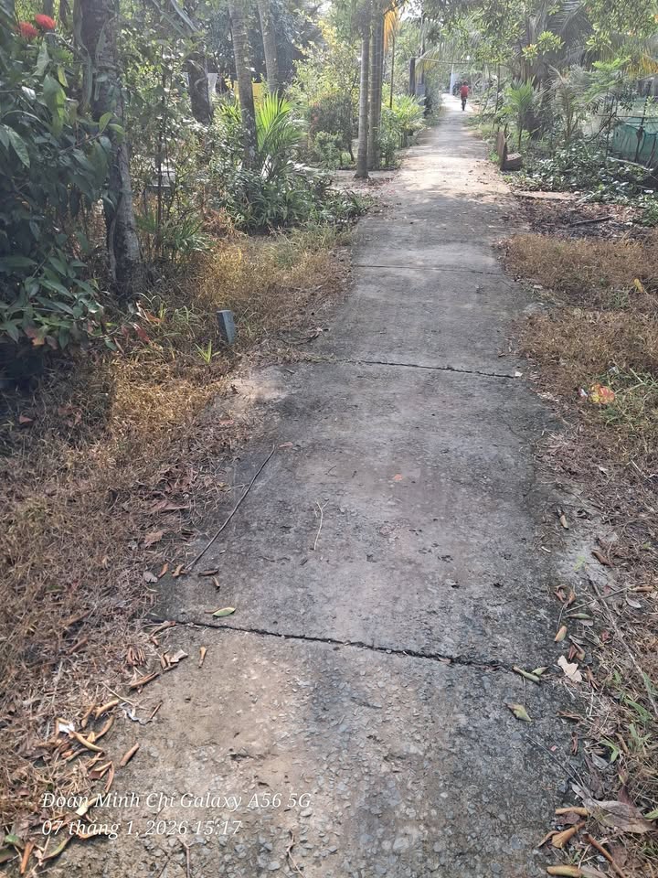 Đất nền thổ cư ấp 3 Vị Tân 220m² giá 360 triệu - Cơ hội đầu tư sinh lời!