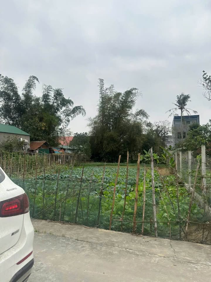 Đất nền Thịnh Trường, Nghi Lộc 178m² giá 1.4 tỷ - Cơ hội đầu tư tuyệt vời!