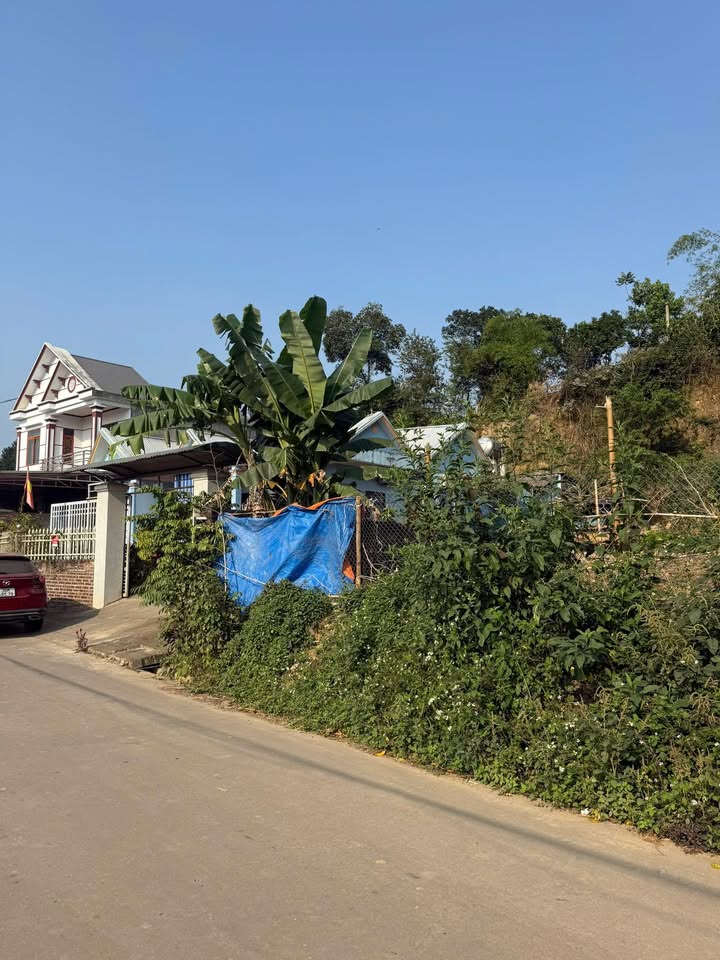 Đất mặt đường Liên Xã Hoàng Cương, Thanh Ba 134.8m² giá 800 triệu - Đầu tư sinh lời ngay!