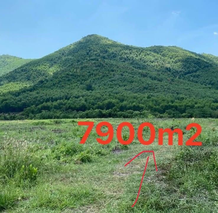 Đất nền Ninh Thượng Khánh Hòa 7900m² - Cơ hội đầu tư hấp dẫn!