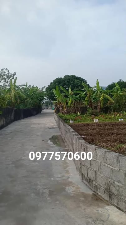 Đất nền lô góc 2 mặt tiền Xuân Tiên 440m² giá 2.1 tỷ - Cơ hội đầu tư tuyệt vời!