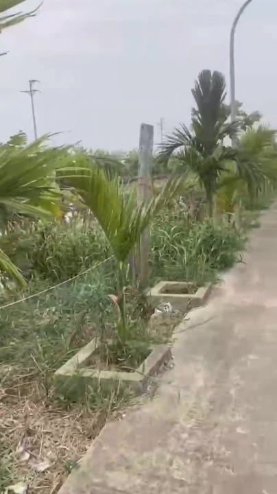 Đất nền Xóm 11 Nghĩa Thành 255m² giá 700 triệu - Sẵn sàng ra ở riêng!