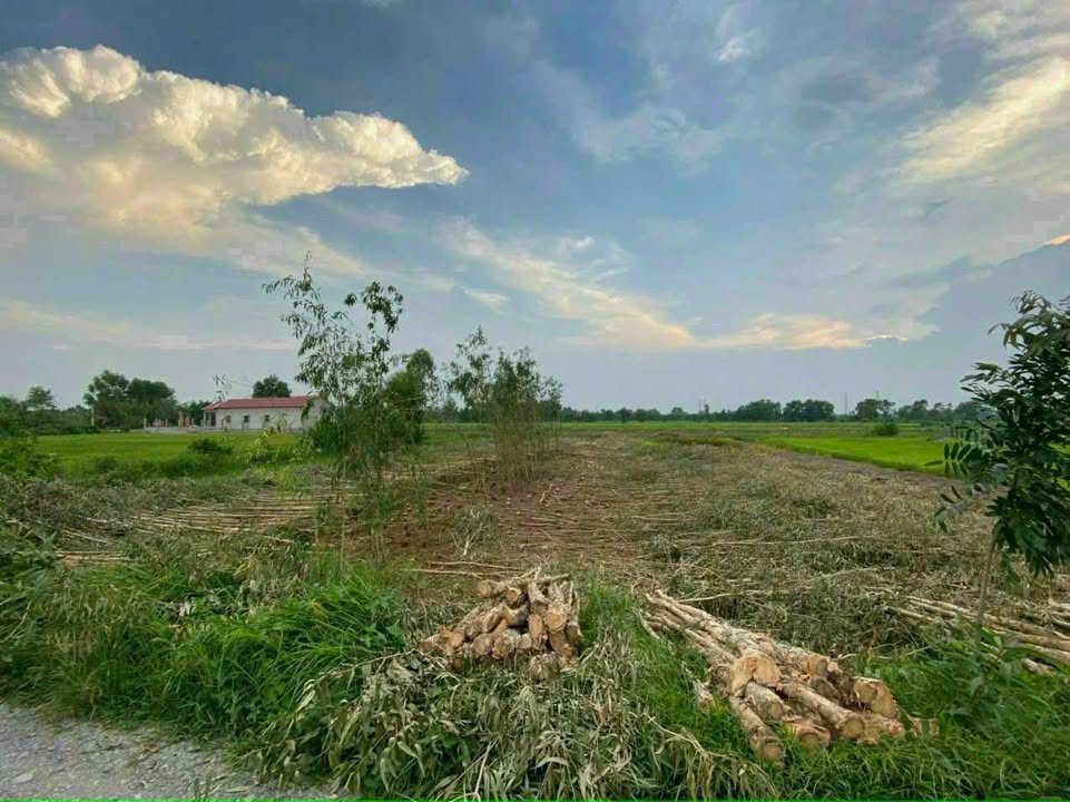 Lô đất vườn 514m² tại Ấp 1A, Hựu Thạnh, Đức Hòa - Giá chỉ 1.25 tỷ!