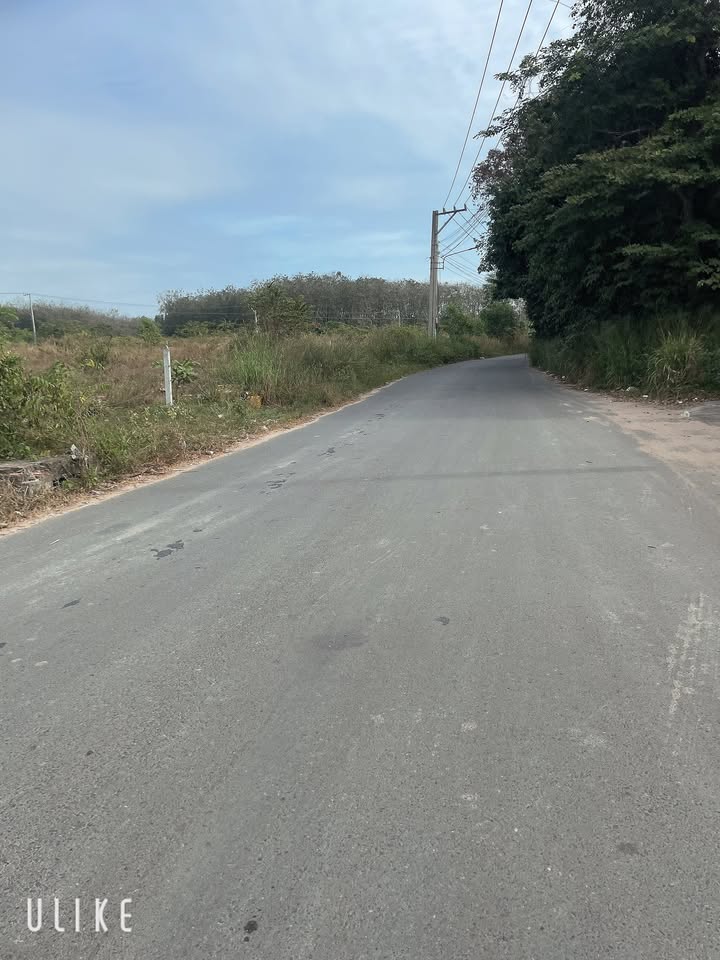 Đất nền Tân Hiệp, Bình Dương 1165m² giá chỉ 5 tỷ - Đầu tư sinh lời ngay!