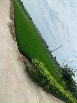 Đất quy hoạch Tân Lâm Hương 150m² giá 1 tỷ - Hai mặt tiền, ô tô tránh nhau!