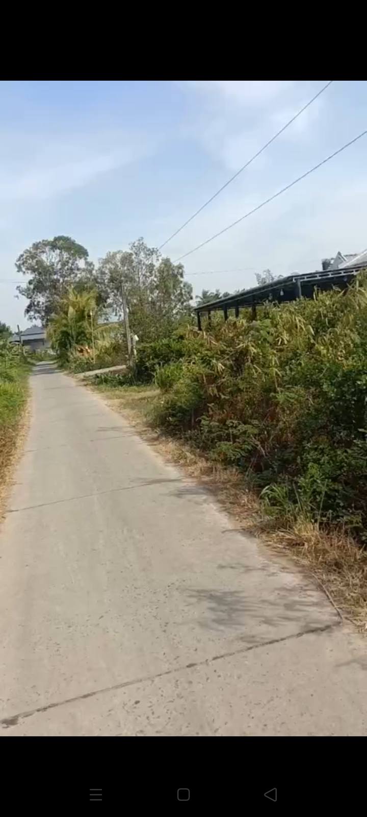 Đất mặt tiền đường bê tông Hiệp Mỹ Đông 1554m² giá 450 triệu - Cơ hội đầu tư hấp dẫn!