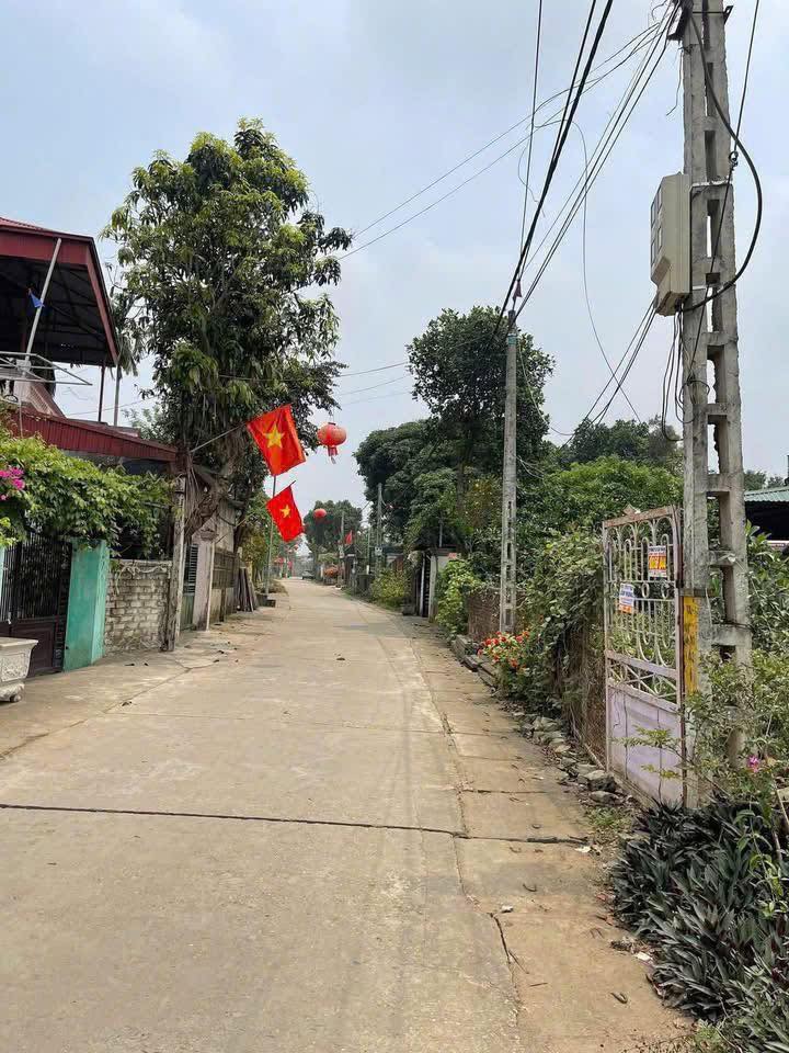 Đất nền xã Cổ Đông, Sơn Tây 1000m² giá 10 tỷ - Đầu tư sinh lời hấp dẫn!