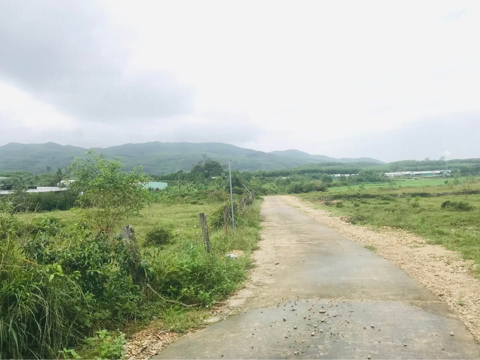 Farm Nghĩa Thắng 5000m² giá 2 tỷ - Đầu tư lý tưởng cho tương lai!