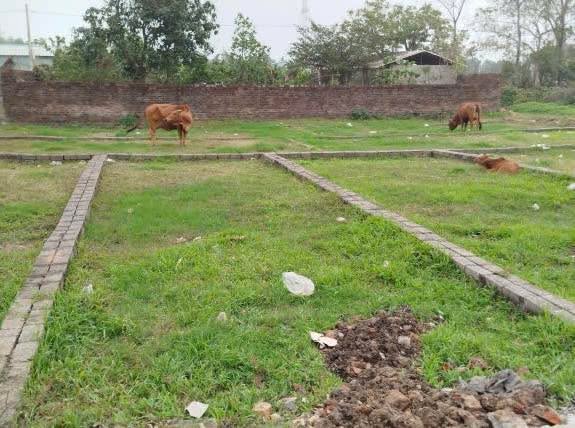 Đất Đỗ Động, Thanh Oai 51m² giá chỉ 7x triệu - Cơ hội đầu tư hiếm có!