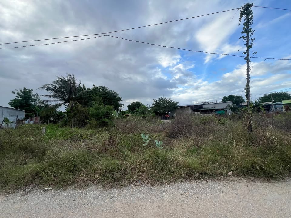 Đất thổ cư 100m² tại Thôn Tân Bình, Xã Anh Dũng - Đầu tư sinh lời hấp dẫn!