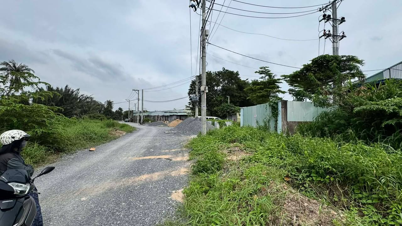 Đất thổ cư 232m² mặt tiền đường Vườn Lài, Q.12 chỉ 11.1 tỷ - Cơ hội đầu tư tuyệt vời!