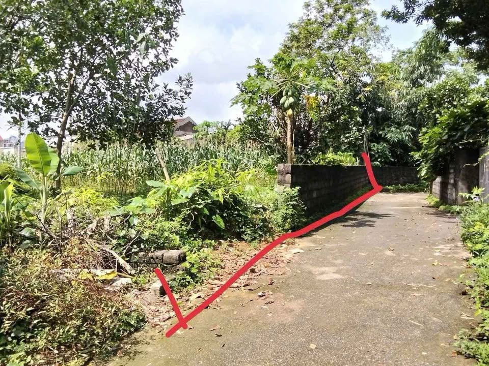 Đất thổ cư Thanh Cao Lương Sơn 376m² giá 40 triệu - Đầu tư sinh lời cao!