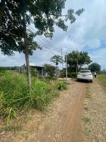 Đất vườn 600m² xã Long Tân, giá chỉ 580 triệu - Cơ hội đầu tư hấp dẫn!