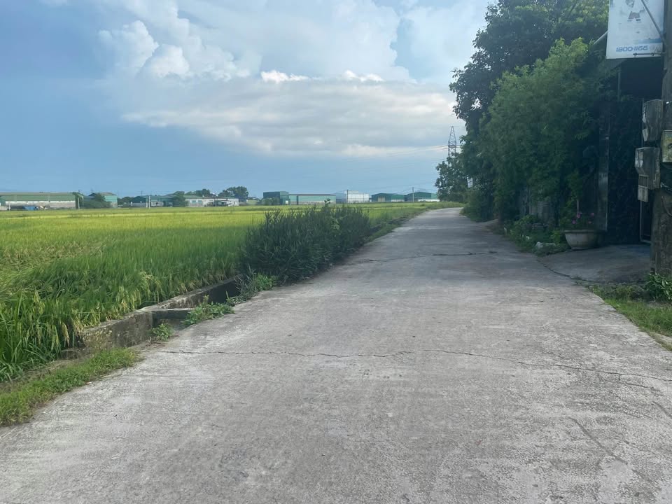 Đất Hưng Chính Vinh 85m² giá 1.58 tỷ - Đường thông thoáng, gần chợ!