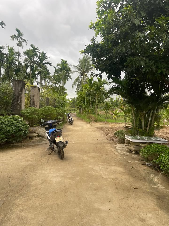 Đất nền Duy Vinh, Duy Xuyên 115m² giá chỉ 650 triệu - Sổ hồng chính chủ