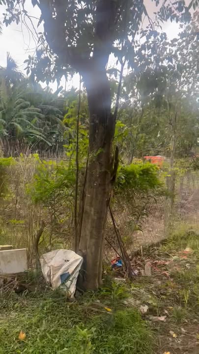 Đất nền Duy Vinh 150m² giá 700 triệu - Sổ hồng chính chủ, gần khu du lịch!