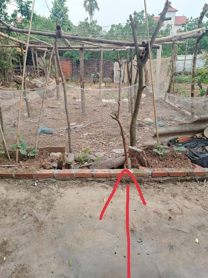 Đất nền Tráng Việt Mê Linh 67,7m² giá 4x triệu/m² - Cơ hội đầu tư hấp dẫn!