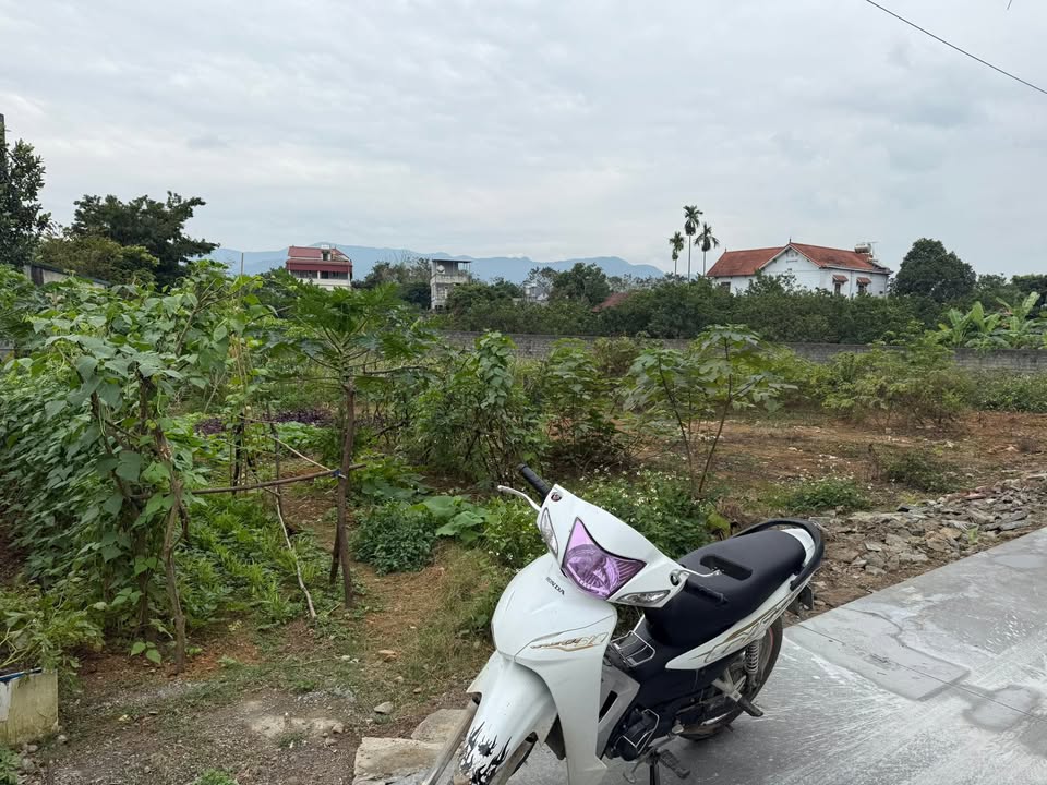 Đất thổ cư Chương Mỹ 1.200m² giá 7.2 tỷ - Lô góc 2 mặt tiền cực đẹp!