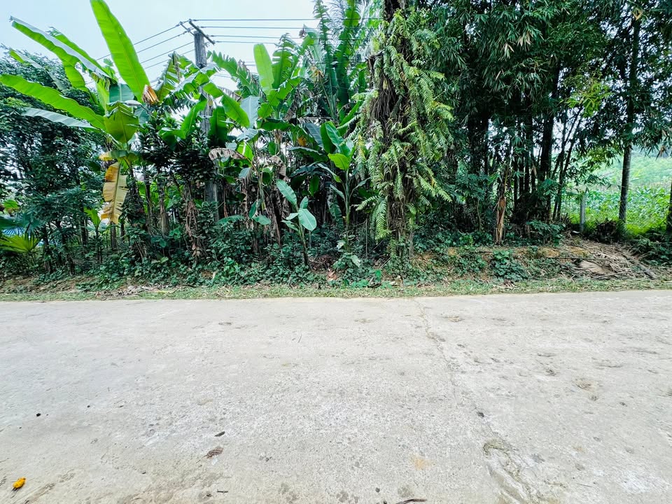 Đất nền Kim Lập Kim Bôi 537m² giá 1.074 tỷ - Sổ hồng chính chủ, tiềm năng chia lô!