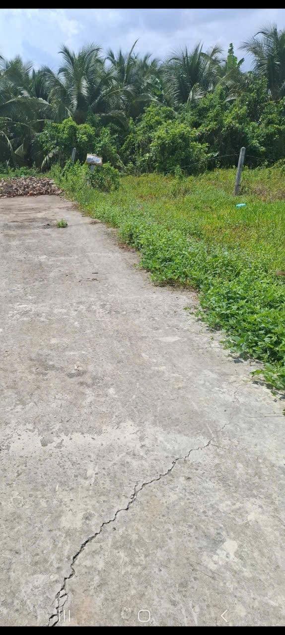 Đất nền 93m² Ấp Long Thới, Châu Thành, Tiền Giang - Bán gấp chỉ 290 triệu!