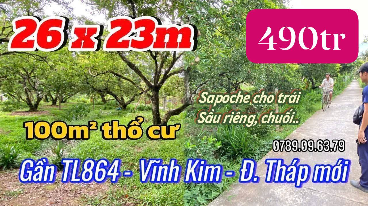 Đất vườn 543m² Vĩnh Kim, Châu Thành chỉ 490 triệu - Cơ hội đầu tư tuyệt vời!