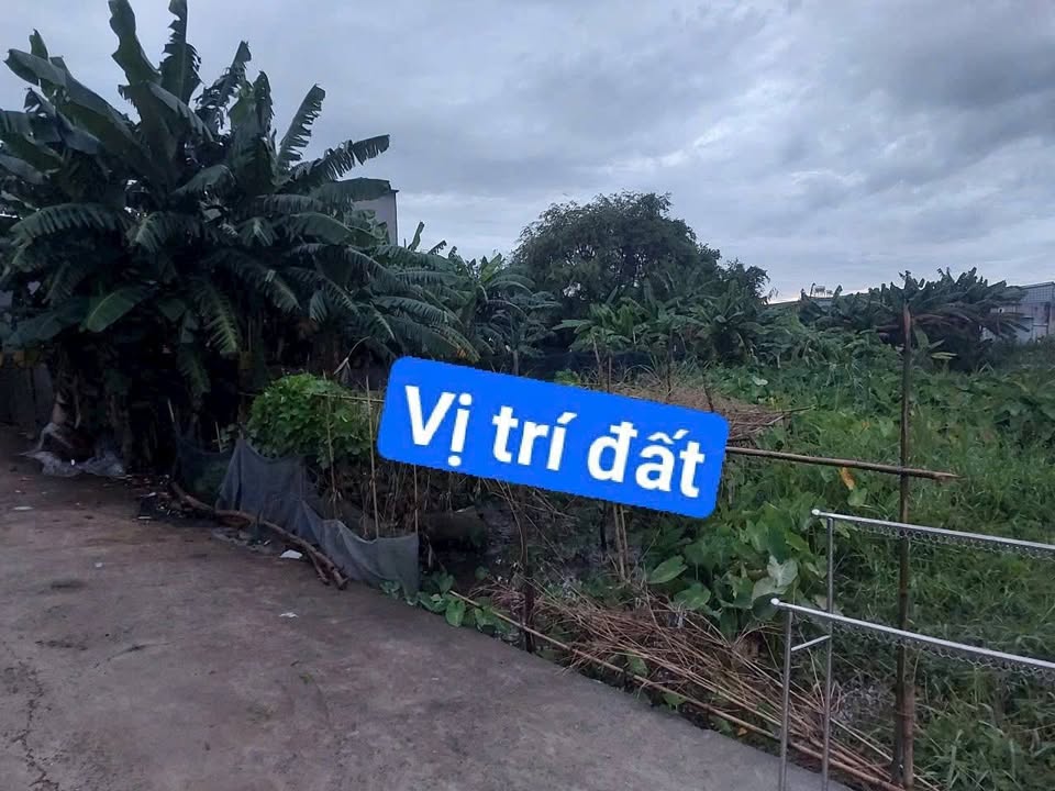 Đất hẻm xe hơi Thới Tam Thôn 101m² giá chỉ 2.78 tỷ - Sẵn sàng giao dịch!