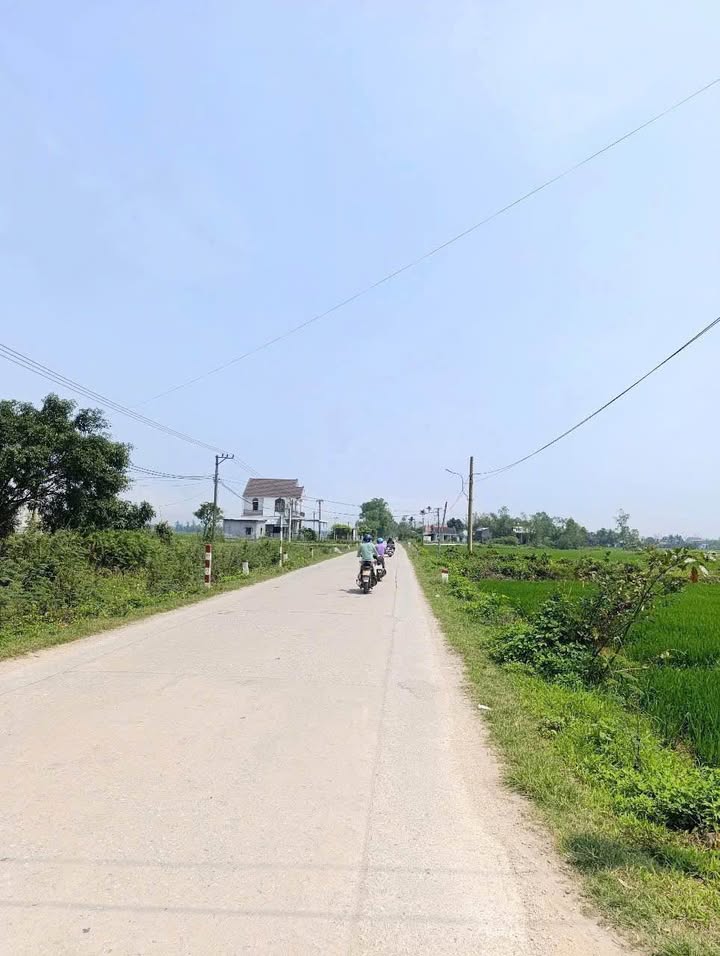 Đất KQH Phú Hồ 161,5m² giá 810 triệu - Sổ đỏ chính chủ, tiện ích đầy đủ!