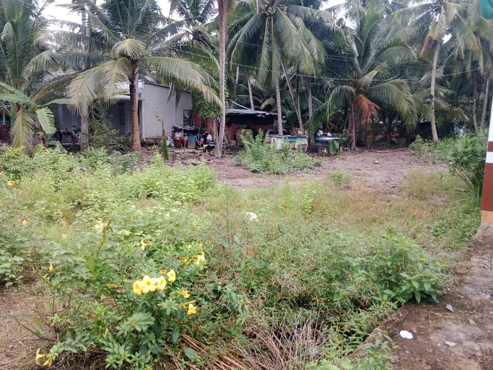 Đất nền thổ cư Tân Long Hội, Vĩnh Long 150m² giá 330 triệu - Đầu tư sinh lời ngay!