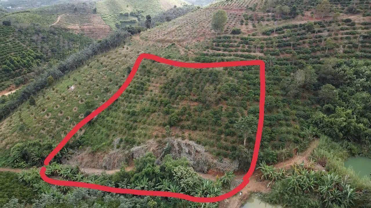 Đất nông nghiệp Nâm N'Đir 5000m² giá chỉ 200 triệu - Đầu tư sinh lời!