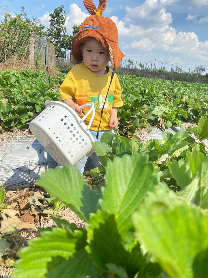 Đất nền Chư Prông 454.4m² giá 550 triệu - Nở hậu tiện lợi cho xây dựng