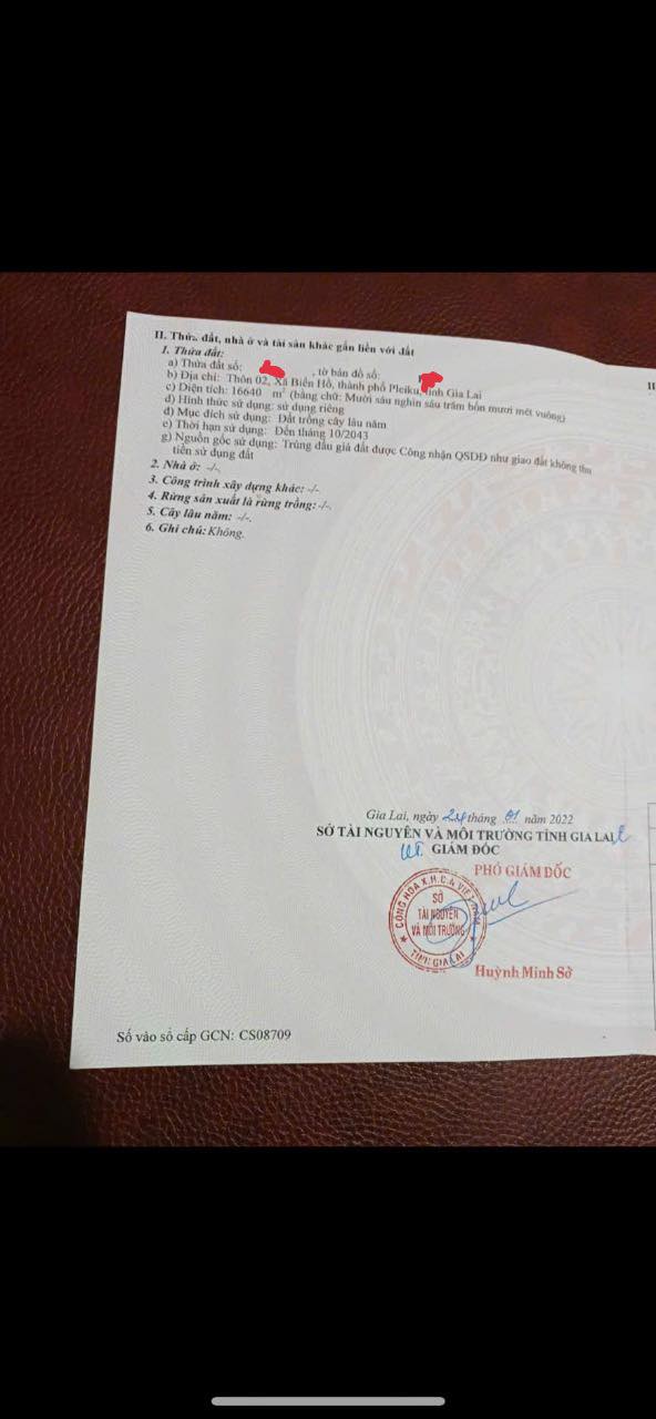 Đất thổ cư Biển Hồ, Pleiku 1.7ha giá 3 tỷ - Cơ hội đầu tư hấp dẫn!