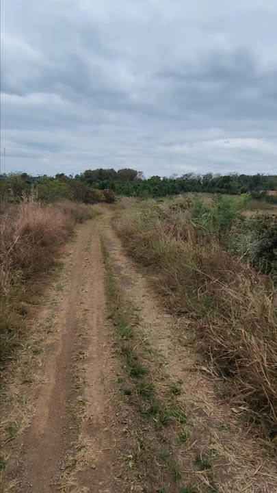 Đất cho thuê tại Quảng Hiệp, Cư M'gar, Đắk Lắk 10.000m² giá 9 triệu/năm - Phù hợp cho nhiều mục đích sử dụng!