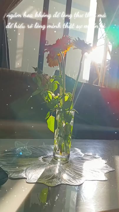 Đất nền xã Ia Le, Chư Pưh 720m² giá 1.6 tỷ - Cơ hội đầu tư hấp dẫn!