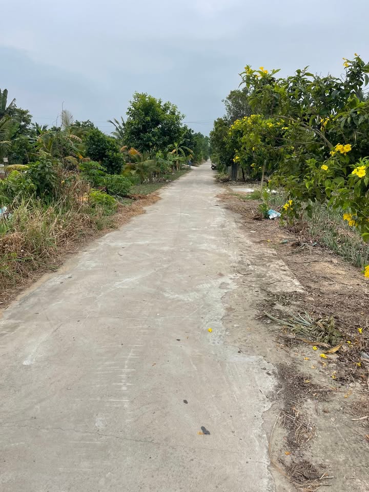 Đất nền Tân Phước 5 công giá 220 triệu/công - Mặt tiền đường Đan, xe hơi tới đất!