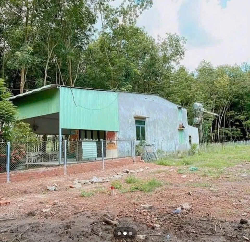 Đất ở phường Minh Hưng 552m² giá 490 triệu - Cơ hội đầu tư hấp dẫn!