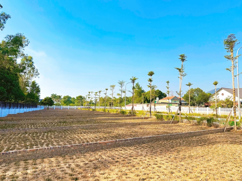 Lô đất 103m² Quốc Lộ 3, Sóc Sơn - Sổ đỏ riêng, đầu tư tiềm năng