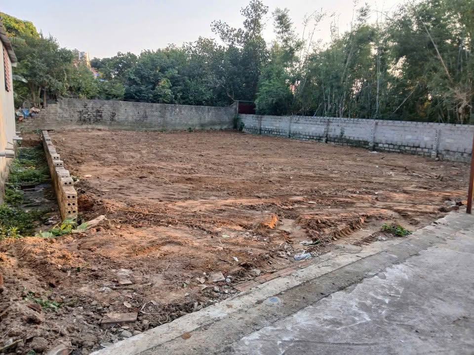 Đất nền Thái Sơn An Lão 80m² giá 600 triệu - Đường ô tô vào tận nơi!