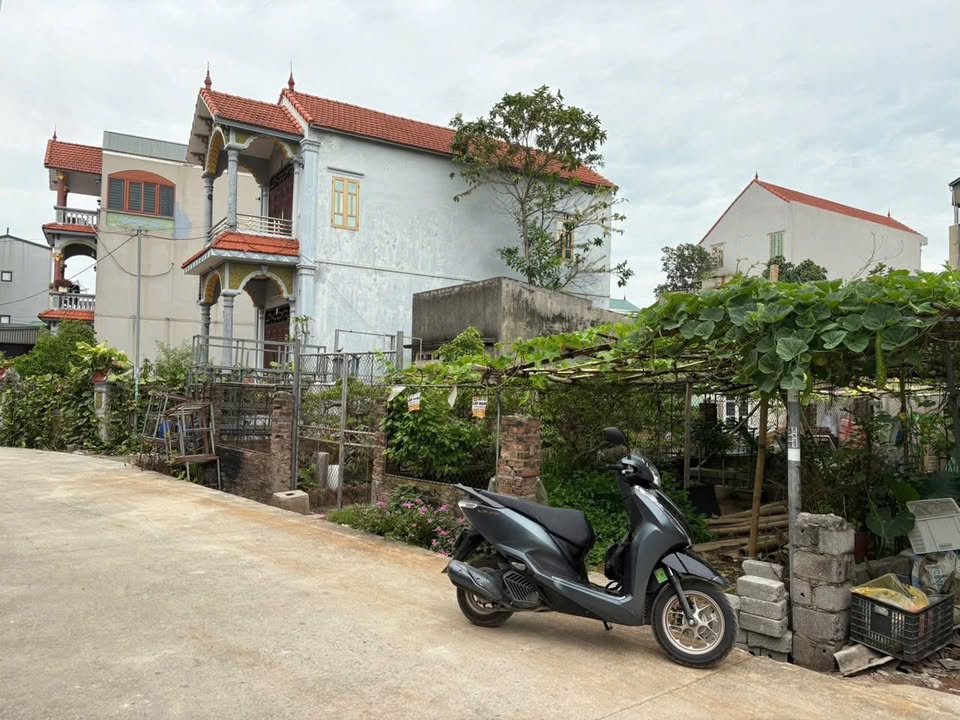 Đất nền Vân Tảo - Thường Tín 84m² giá 4 tỷ - Tiềm năng đầu tư tốt!