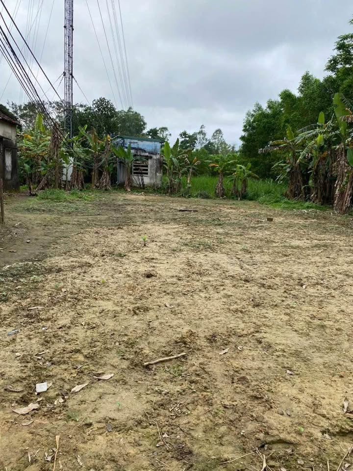 Đất nền 248m² tại Bắc Nghĩa, Đồng Hới chỉ 1.1 tỷ - Cơ hội đầu tư hấp dẫn!