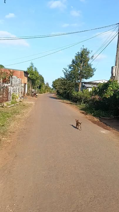 Đất nền 748m² tại trung tâm dân cư Ia Băng, Đăk Đoa - Cơ hội đầu tư hấp dẫn!