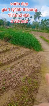 Farm đất vườn Nghĩa Hà 1173m² giá 1.15 tỷ - Cơ hội đầu tư tuyệt vời!