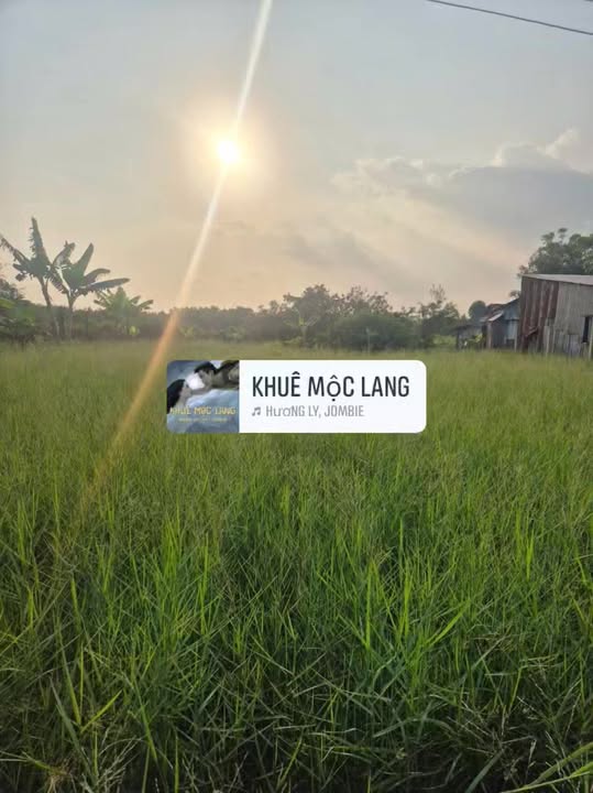 Đất nền Bạc Liêu 150m² giá 350 triệu - Thích hợp đầu tư ngay!