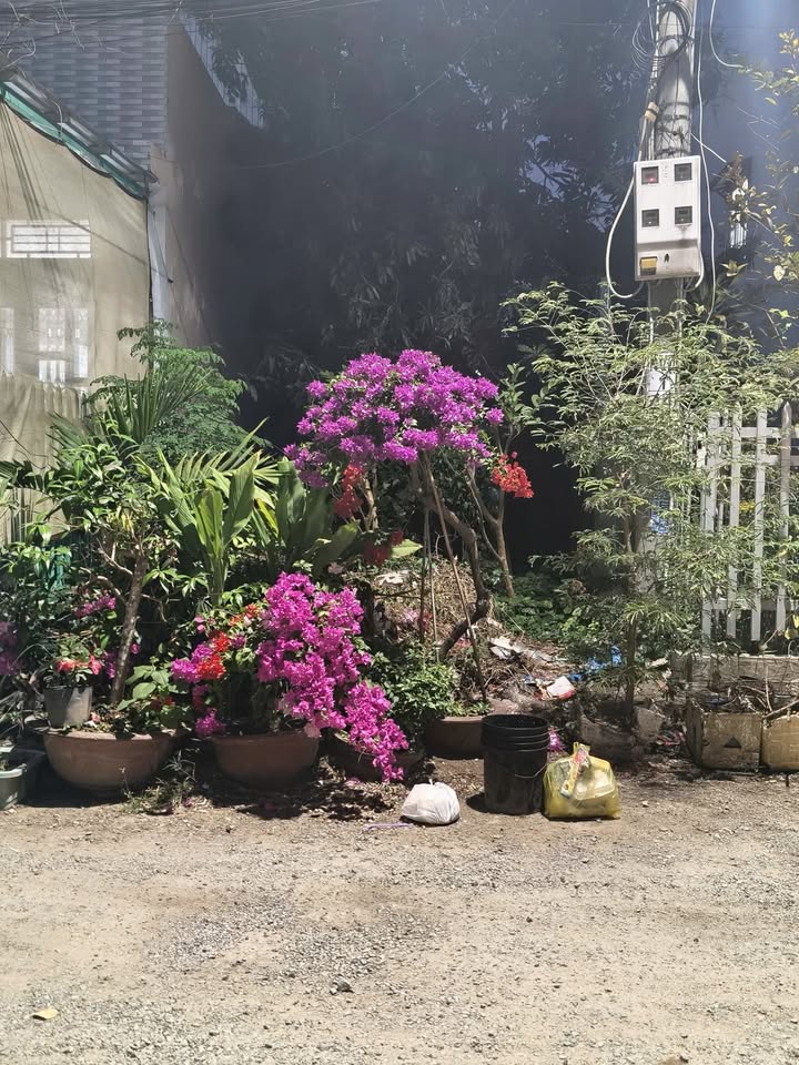 Đất nền đường Phan Đình Giót, phường Bạc Liêu, 92m² - Đầu tư sinh lời ngay!