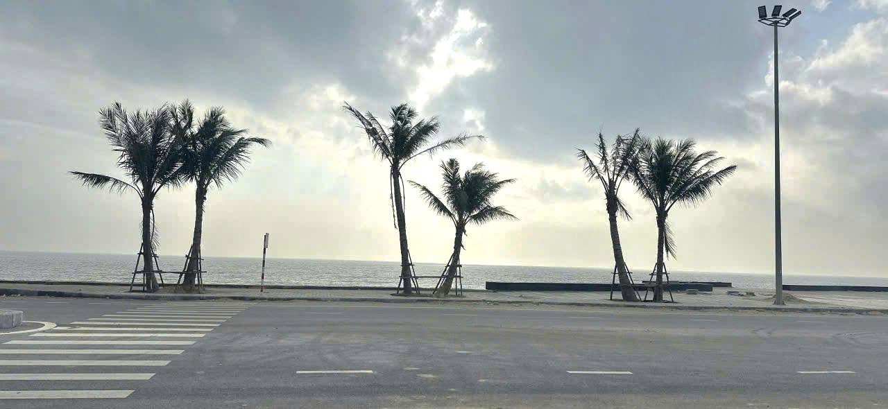 Đất nền Hoàng Trường, Hoằng Hóa 492m² giá 18.778 tỷ - Cơ hội đầu tư hấp dẫn!