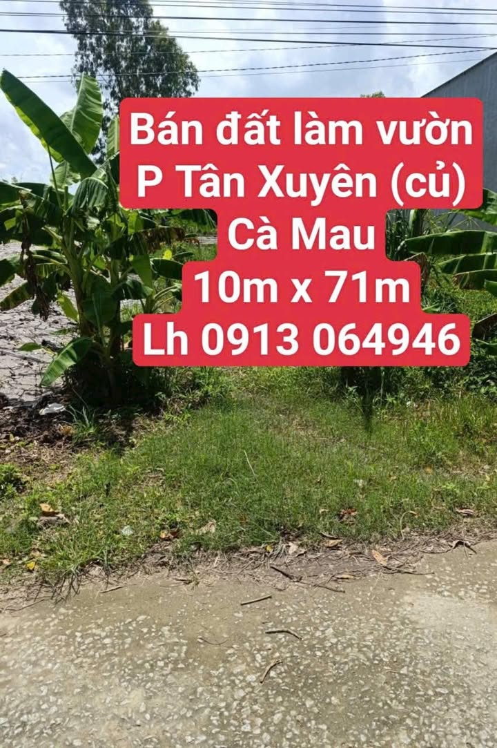 Bán đất vườn Tân Xuyên Cà Mau 710m² - Phù hợp ở và làm vườn