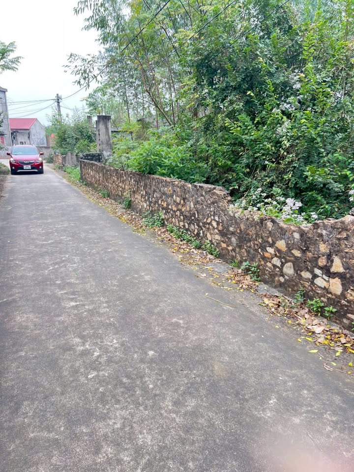 Đất nền Lục Nam 200m² giá thỏa thuận - Vị trí trung tâm tiện ích