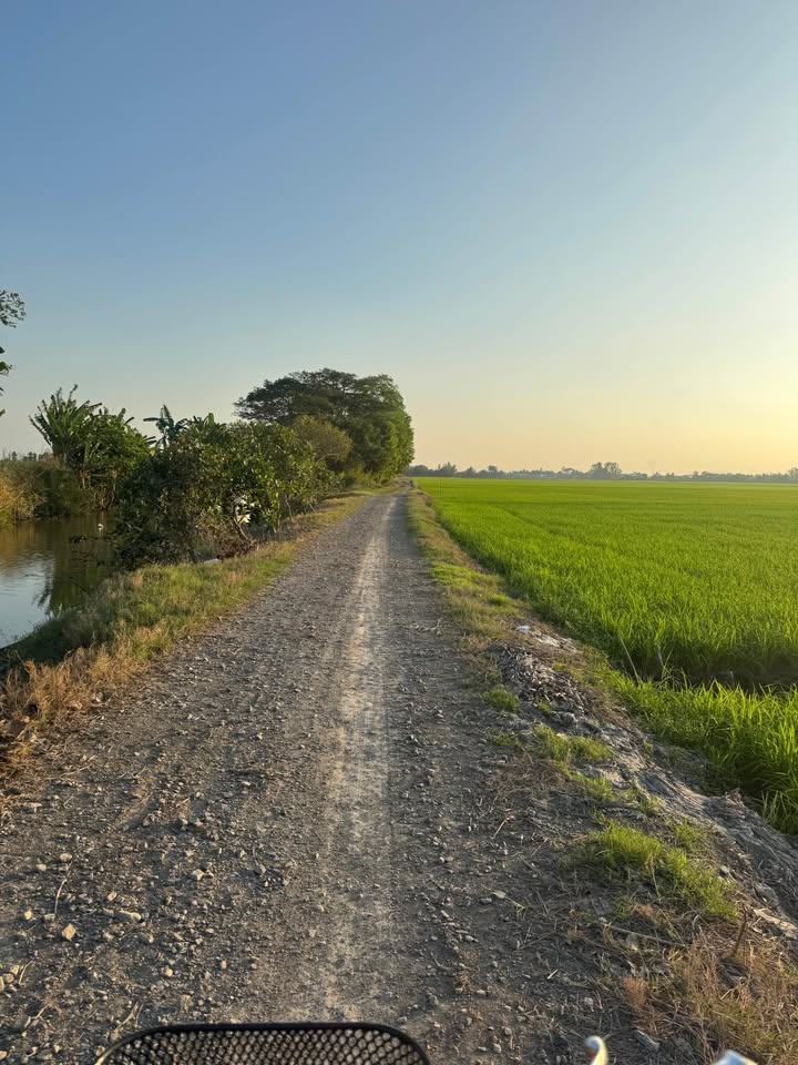 Đất nền Vĩnh Nhuận, Châu Thành, An Giang 53,000m² giá 8.48 tỷ - Cơ hội đầu tư hấp dẫn!