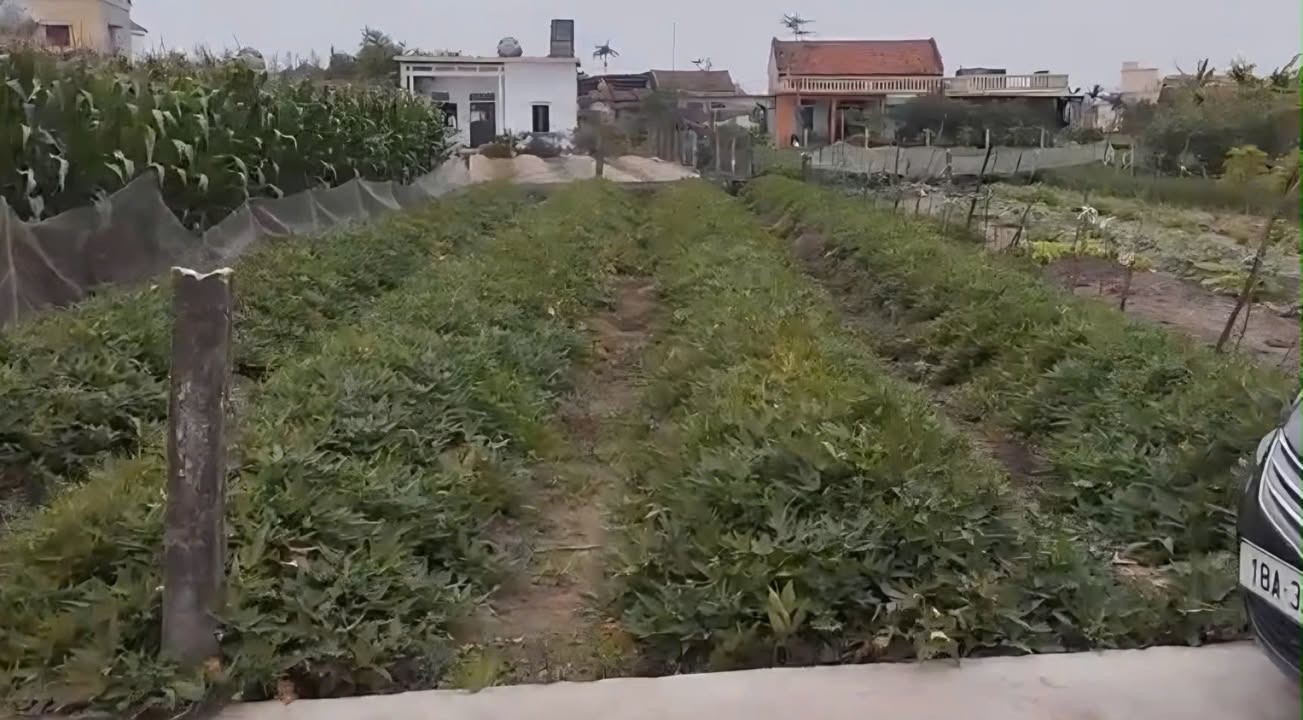 Đất nền Thịnh Long, Hải Hậu 185m² giá thỏa thuận - Gần trường mầm non, ô tô vào tận nơi!