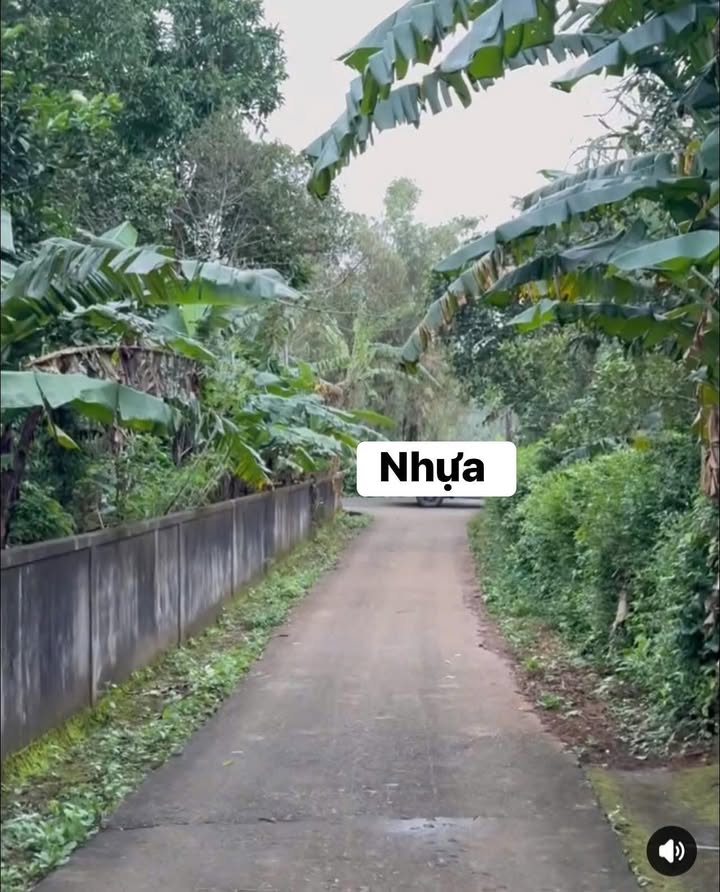 Đất nền Cửa Tùng 300m² giá 400 triệu - Cơ hội đầu tư hấp dẫn!